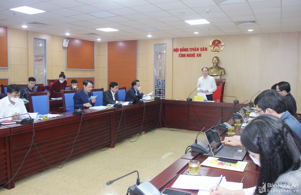 HĐND tỉnh thẩm tra dự thảo nghị quyết về chức danh không chuyên trách cấp xã