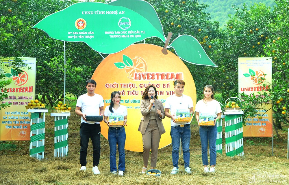 Livestream trực tiếp giới thiệu, quảng bá sản phẩm cam Vinh