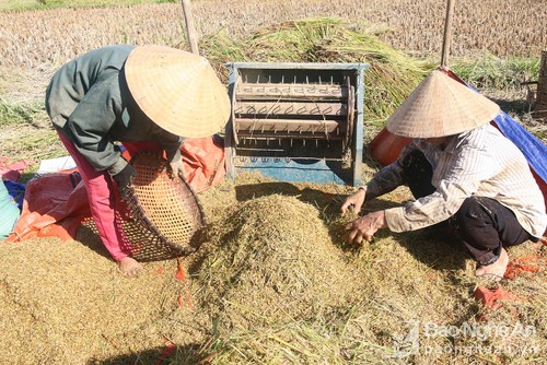 Nghệ An: Thông qua kế hoạch phân bổ gần 920 tỷ đồng thực hiện giảm nghèo