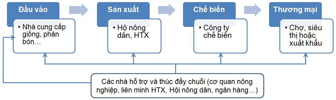 Liên kết bốn nhà  Wikipedia tiếng Việt