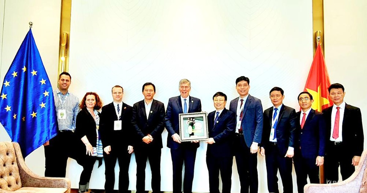 Đại diện lãnh đạo tỉnh Nghệ An làm việc với Hiệp hội Doanh nghiệp châu Âu EuroCham