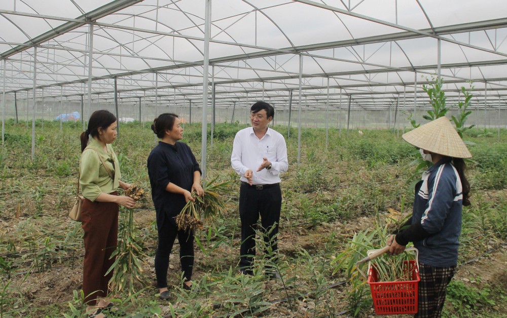 lanh-dao-huyen-nam-dan-tim-hieu-mo-hinh-nong-nghiep-cong-nghe-cao-tai-xa-thuong-tan-loc-8796.jpg