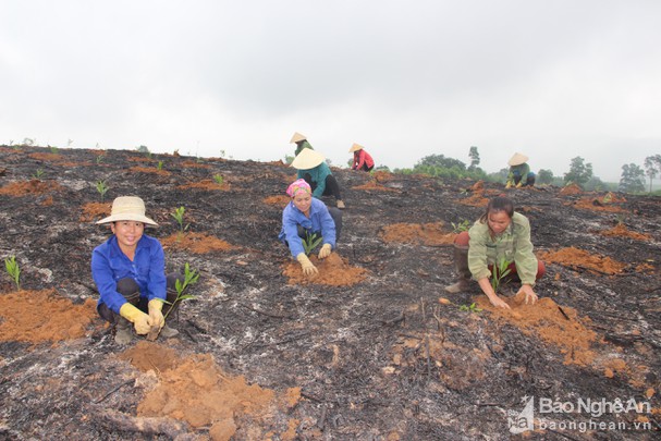 bna_van_truong_1bn8690953_322022.jpg