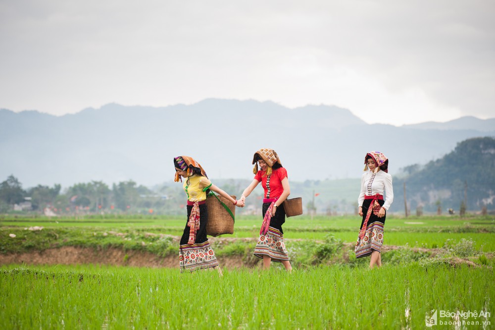 nhung_co_gai_thai_quy_chau_tham_dong_anh_thanh_cuong5339954_31120224313939_1932022.jpg