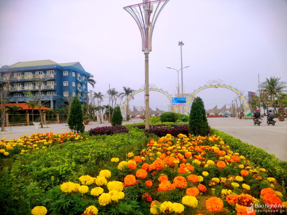 18432162_2132022.jpg