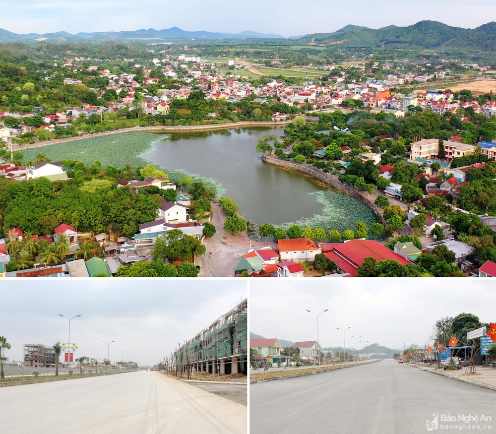 bna__do_thi_thai_hoa__mai_hoa_96232684_2532022.jpg