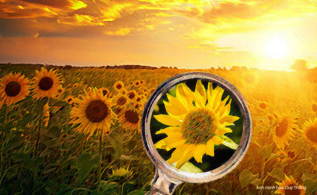 “Xuống ngựa xem hoa”