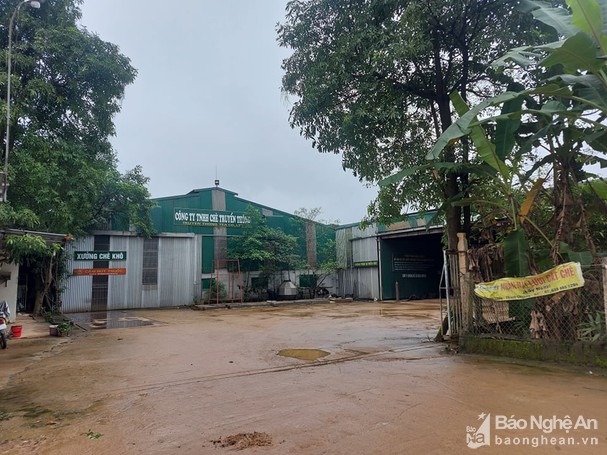 bna__thanh_mai_30_nhompvpl6208088_632022.jpg