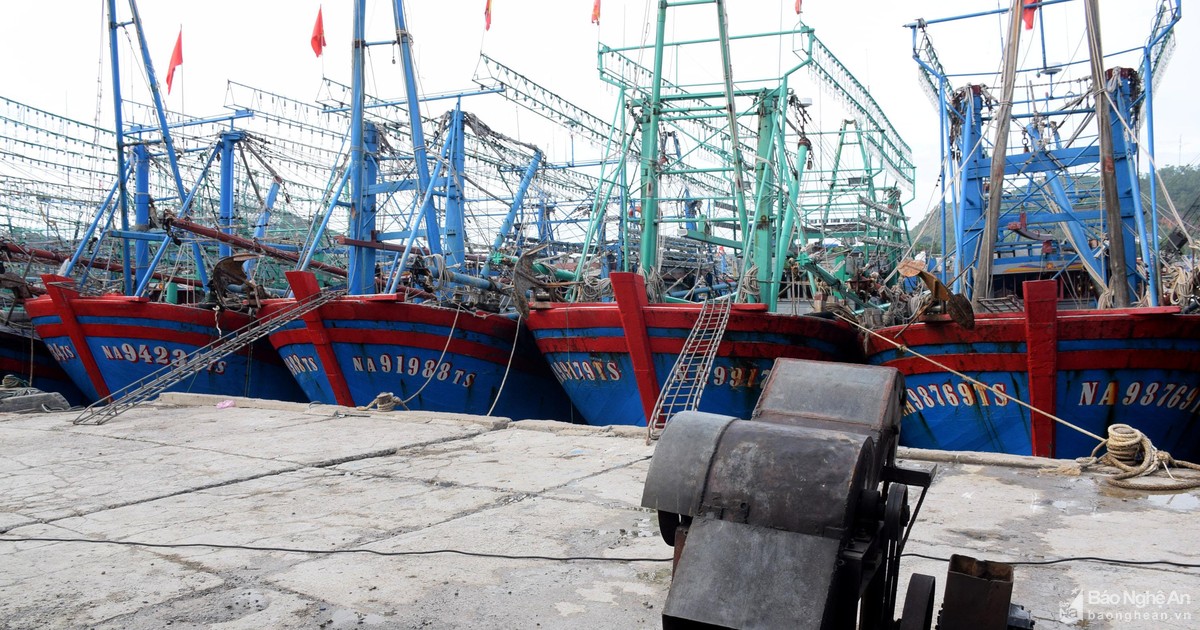 Nghệ An có trên 57% tàu cá 67 lâm cảnh nợ xấu