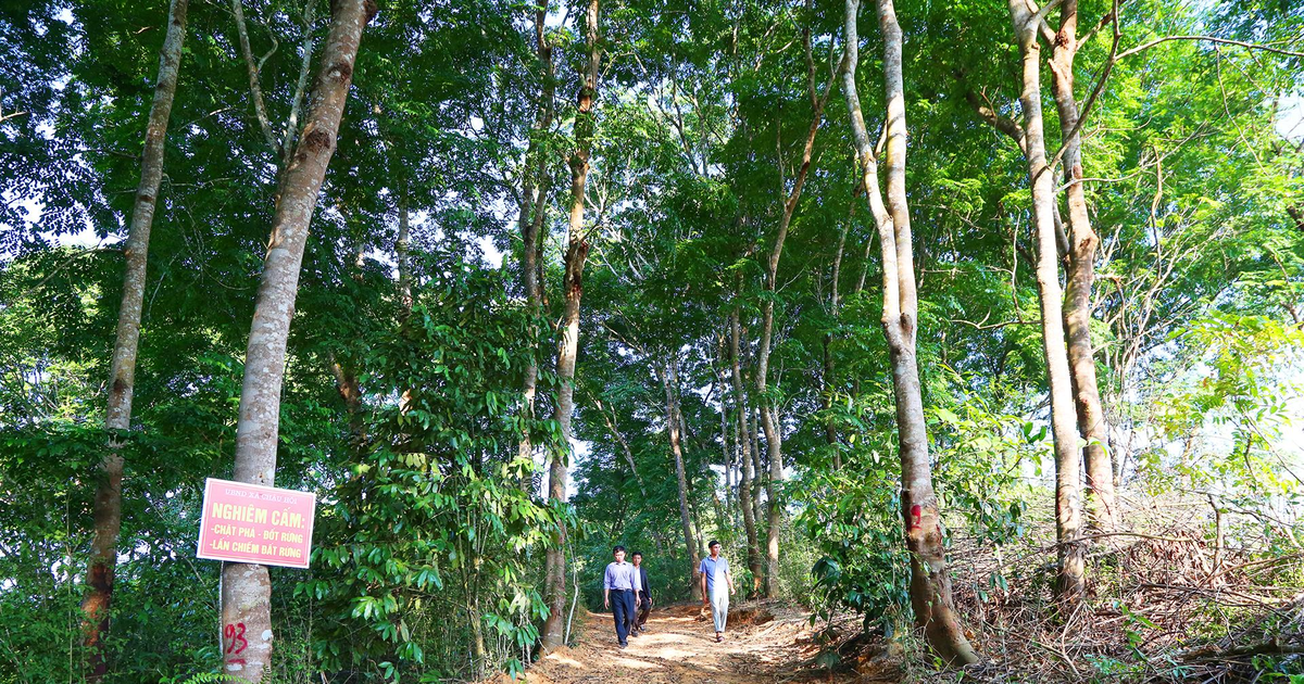 Thuộc quyền lợi của bà con, thì phải trả lại cho bà con