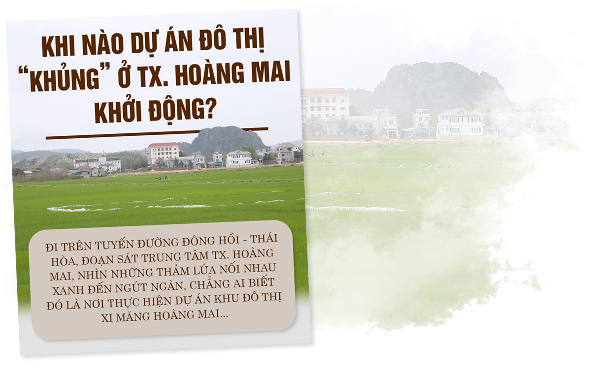 vicem-hoang-mai-co-hoan-thanh-du-an-do-thi-a1-1.png