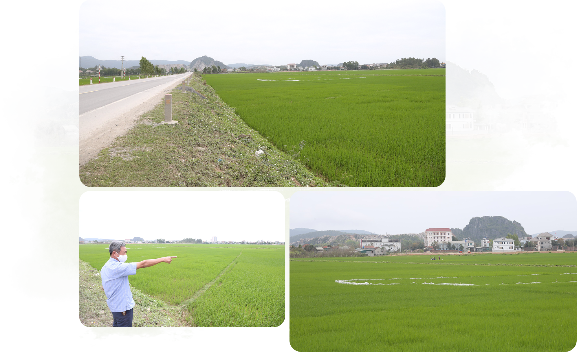 vicem-hoang-mai-co-hoan-thanh-du-an-do-thi-a2b.png