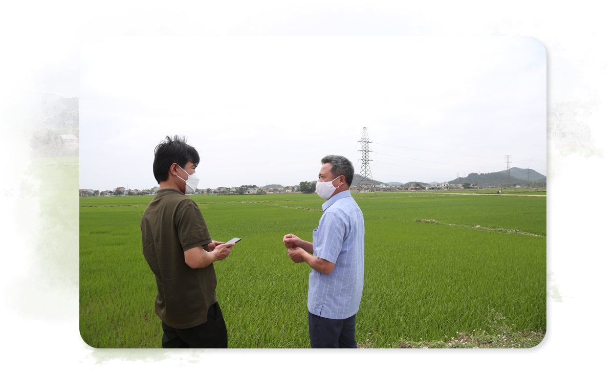 vicem-hoang-mai-co-hoan-thanh-du-an-do-thi-a4.png