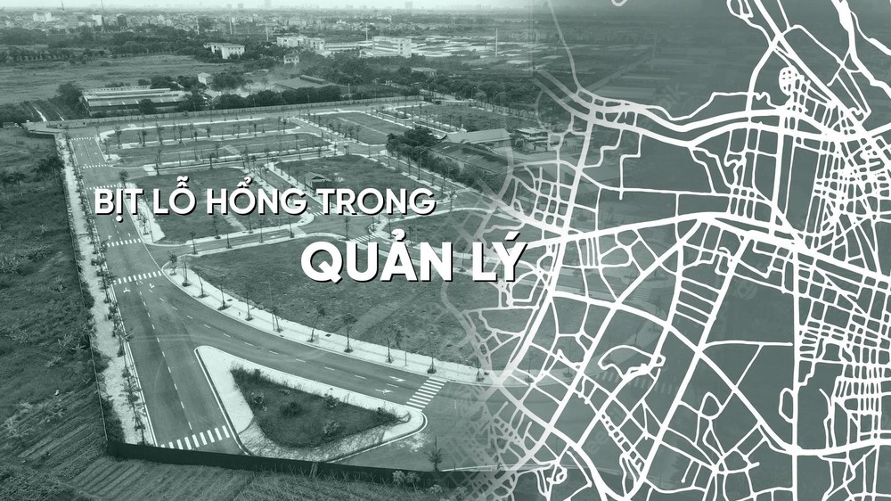 anh2-16602184543112061950018-732.jpg