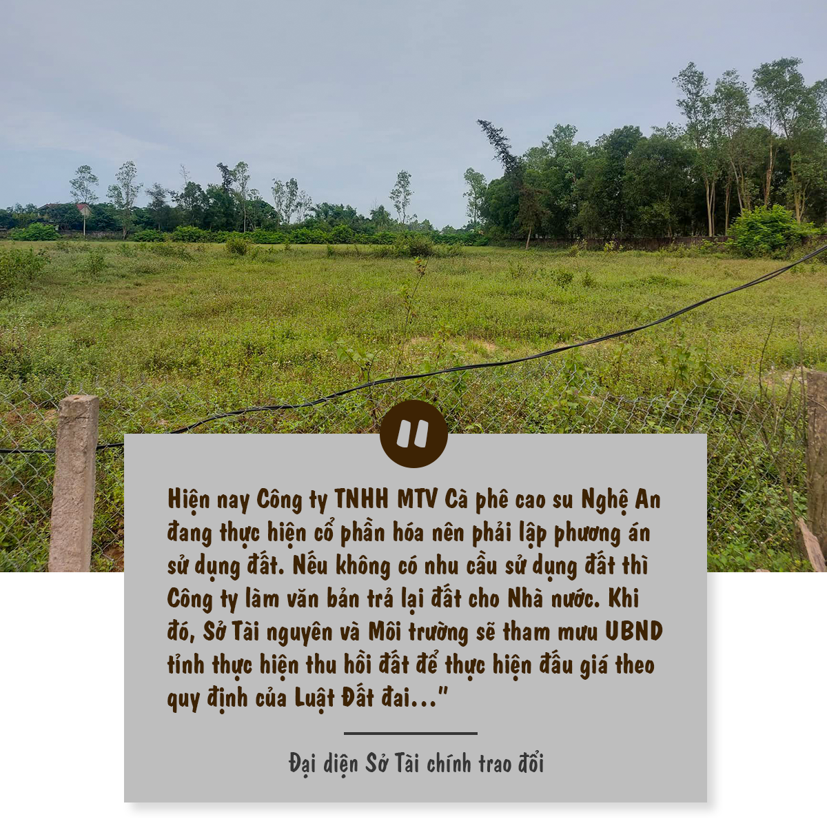 du-an-vuon-cam-nghi-an-se-duoc-xu-ly-nhu-the-nao-a4.png