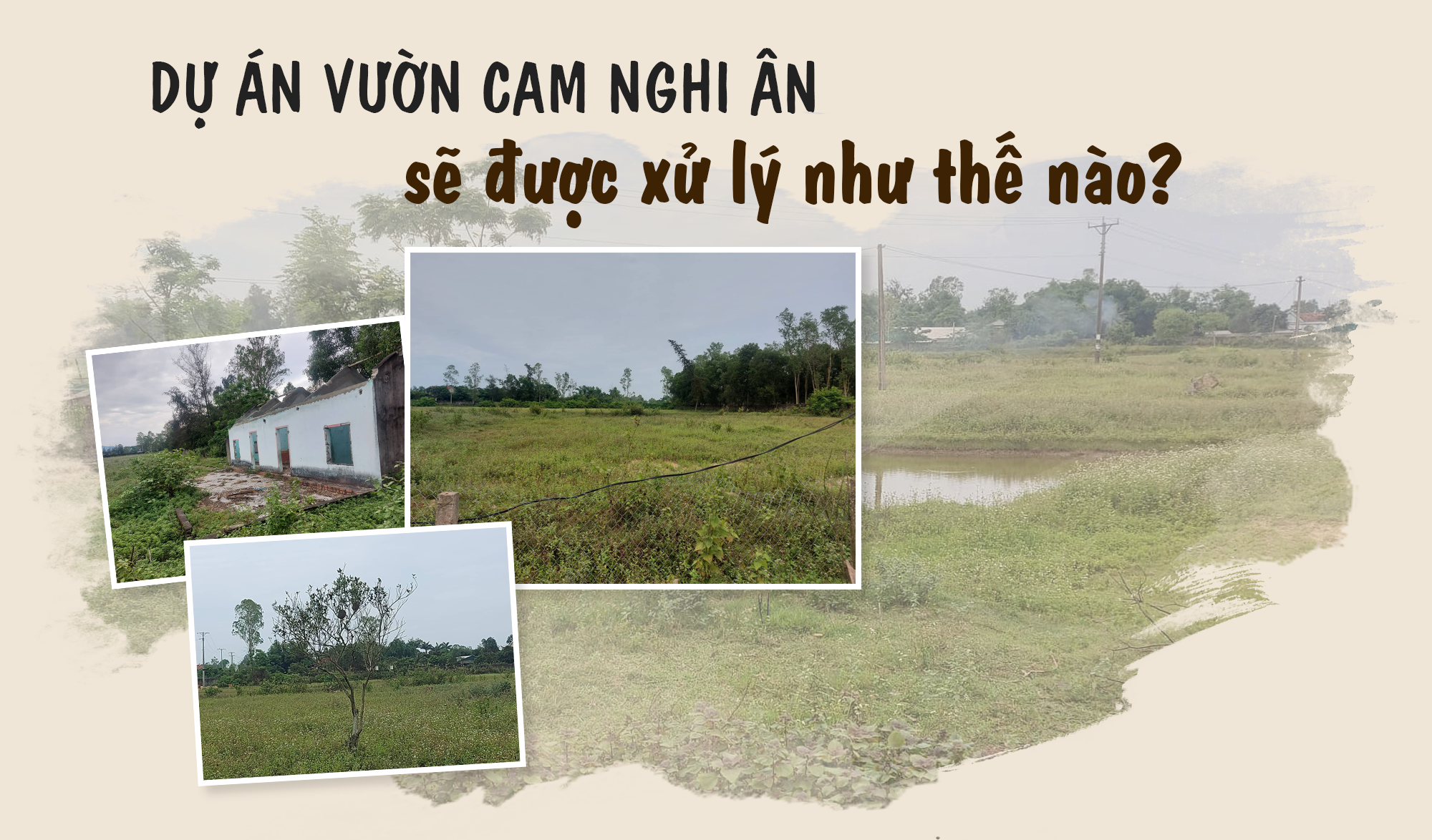 du-an-vuon-cam-nghi-an-se-duoc-xu-ly-nhu-the-nao-anhtieude.png