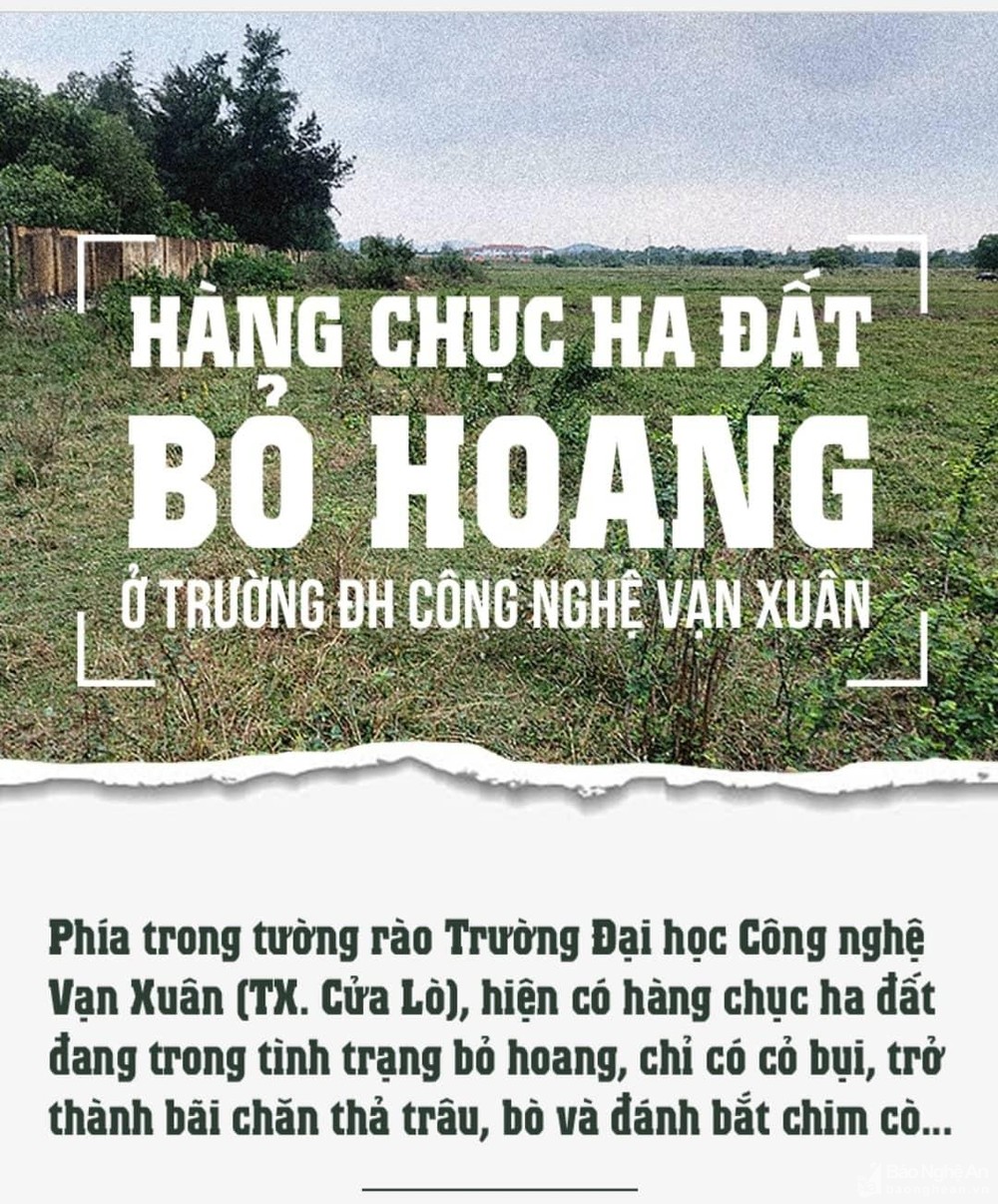 bna-van-xuan-nhat-lan-9524.jpg