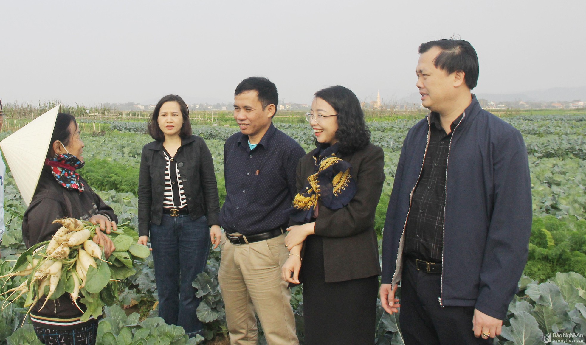 bna-lanh-dao-huyen-hung-nguyen-trao-doi-voi-nong-dan-xa-hung-thanh-ve-hieu-qua-san-xuat-rau-mai-vu-dong-tren-vung-dat-bai-anh-mai-hoa-768.jpg