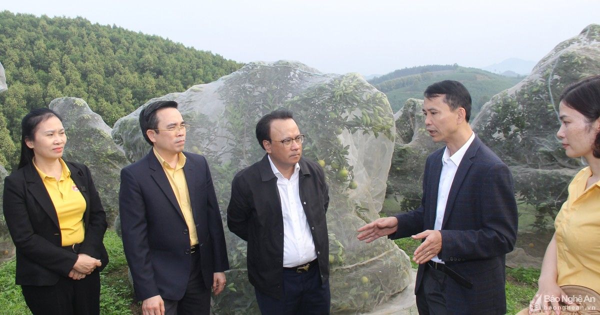 Đổi mới, tạo chuyển động tích cực trong hoạt động Hội đồng nhân dân