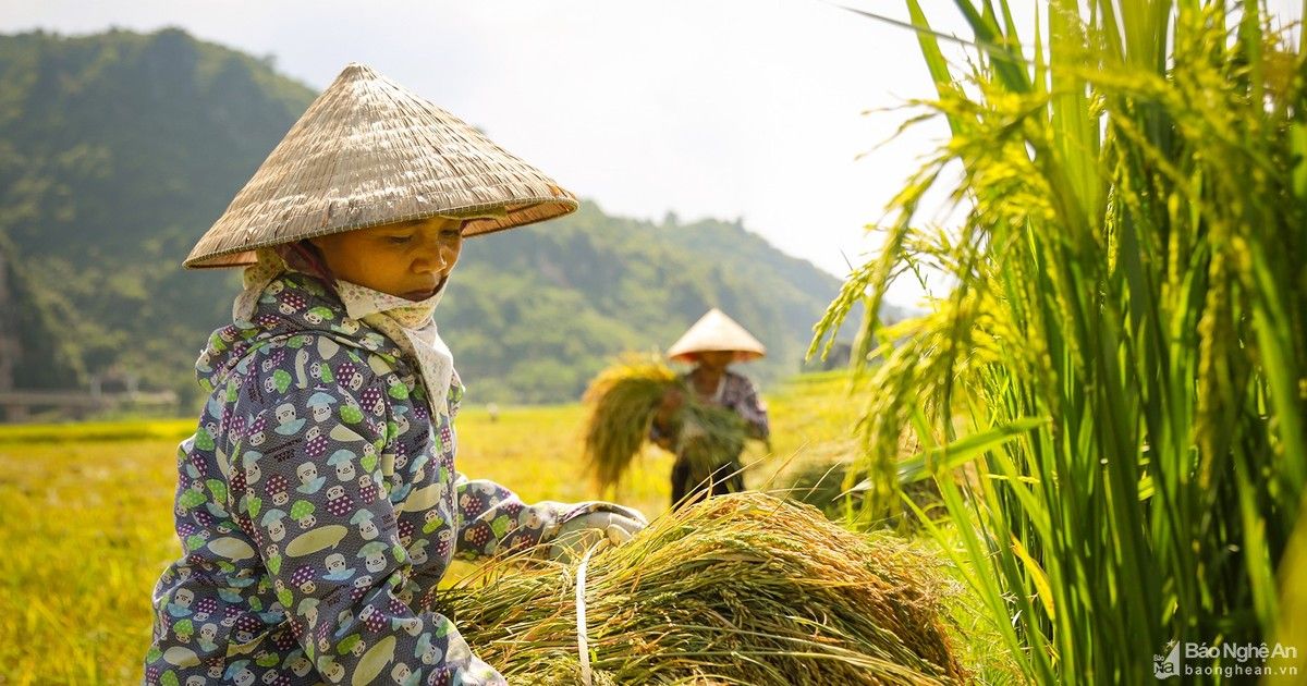 Chính sách về nhân sự, việc làm, tài chính có hiệu lực từ tháng 2/2023