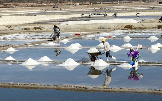 Quan tâm nghiên cứu, có chính sách hỗ trợ người dân sản xuất muối