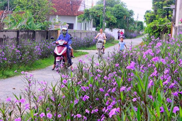 Xây dựng nông thôn mới