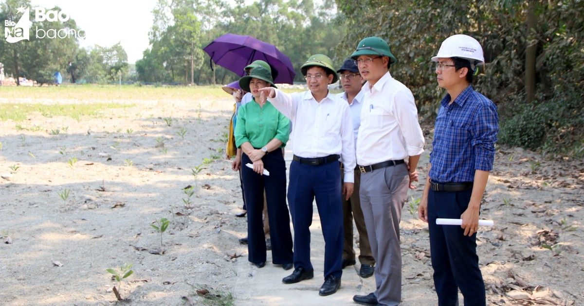 HĐND tỉnh giám sát công tác chấp hành pháp luật về môi trường tại huyện Hưng Nguyên
