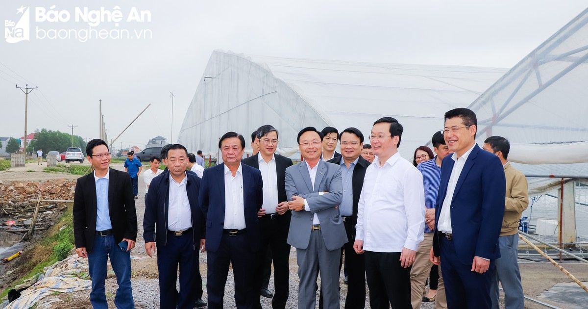 Bộ trưởng Bộ Nông nghiệp và Phát triển nông thôn thăm một số mô hình nông nghiệp tại Nghệ An