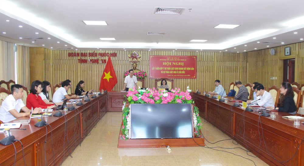 Đoàn đại biểu Quốc hội tỉnh lấy ý kiến góp ý vào dự thảo Luật Kinh doanh bất động sản (sửa đổi)