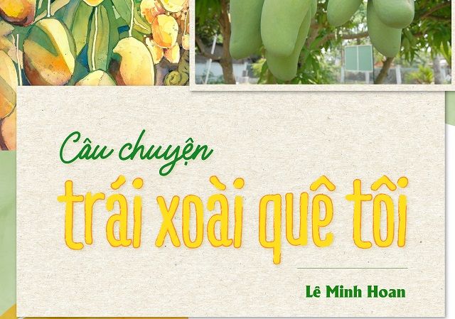 Câu chuyện trái xoài quê tôi