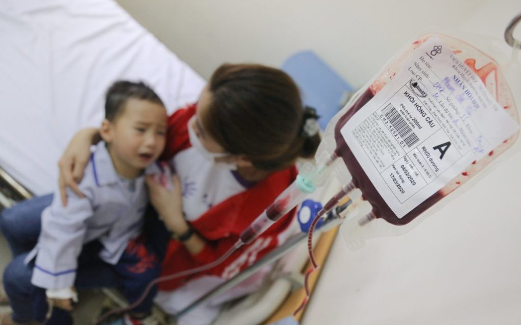 Sở Y tế trả lời cử tri Vi Thị Huệ, bản Na Lạnh, xã Diên Lãm, Quỳ Châu về việc hưởng chế độ hỗ trợ đối với bệnh “Tan máu bẩm sinh”