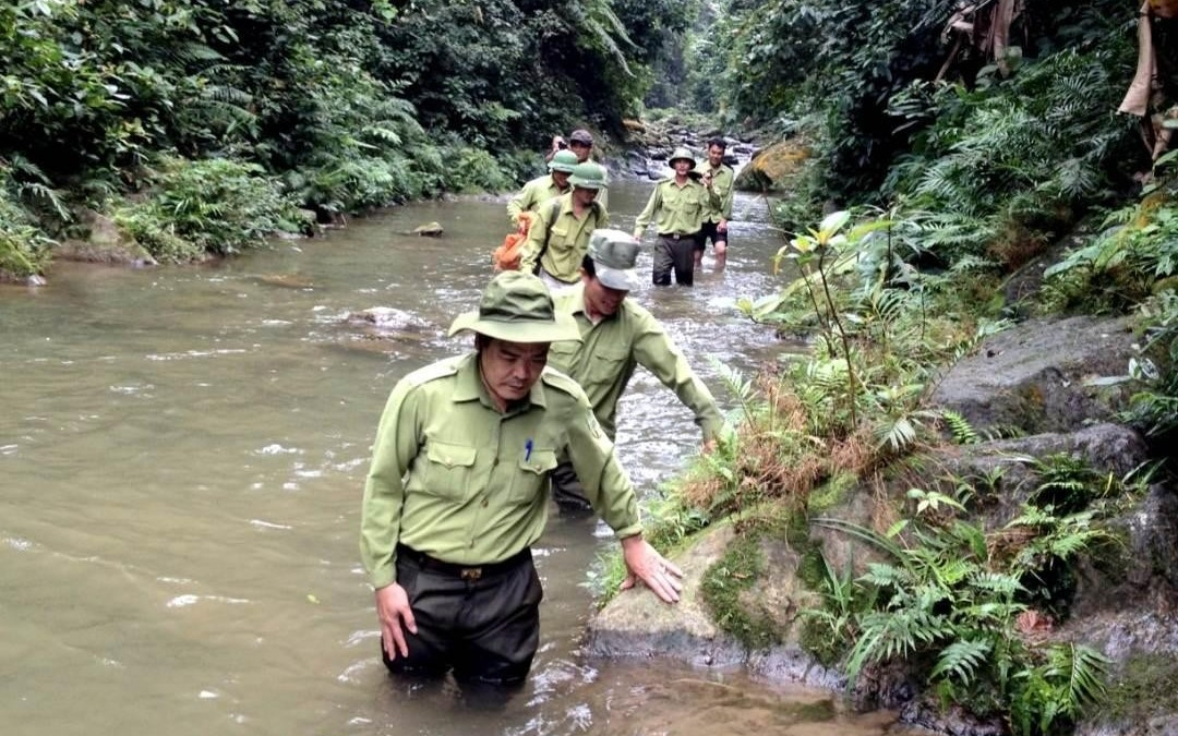 Nghệ An chi không quá 15 tỷ đồng mỗi năm từ nguồn ngân sách hỗ trợ lực lượng chuyên trách bảo vệ rừng