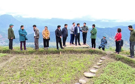 Bài 1: Chịu sự chỉ đạo của Chủ tịch Ủy ban nhân dân huyện