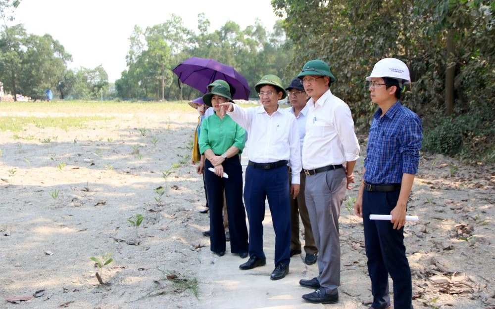 HĐND tỉnh Nghệ An sẽ giám sát 02 chuyên đề trong năm 2024