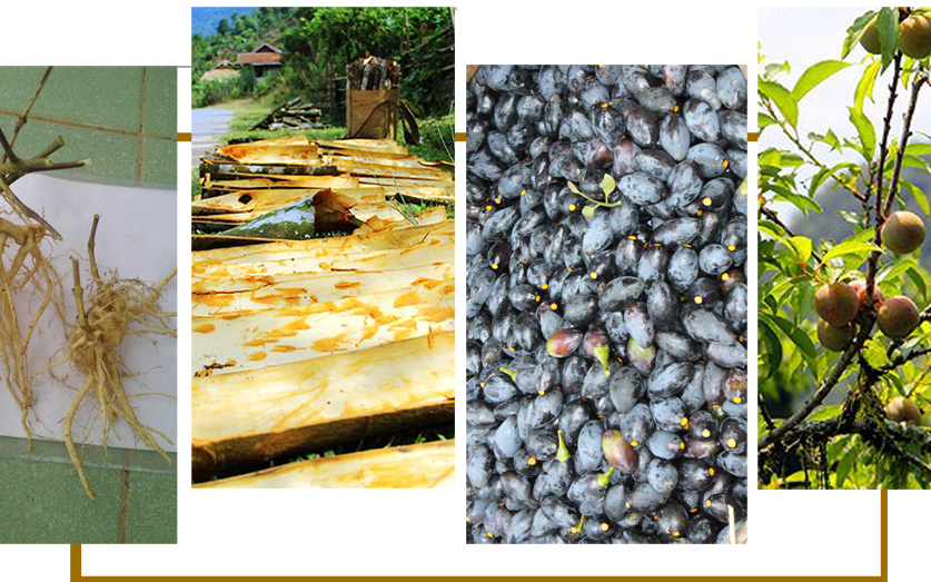 Biến đặc sản thành hàng hóa