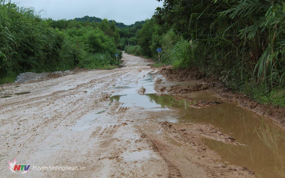 Cử tri xã Tân Thắng, huyện Quỳnh Lưu kiến nghị duy tu, sửa chữa tuyến tỉnh lộ 538B