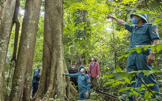 UBND huyện Nam Đàn trả lời cử tri Võ Minh Đức, xã Nam Kim, huyện Nam Đàn về quy hoạch sử dụng đất và quy hoạch ba loại rừng