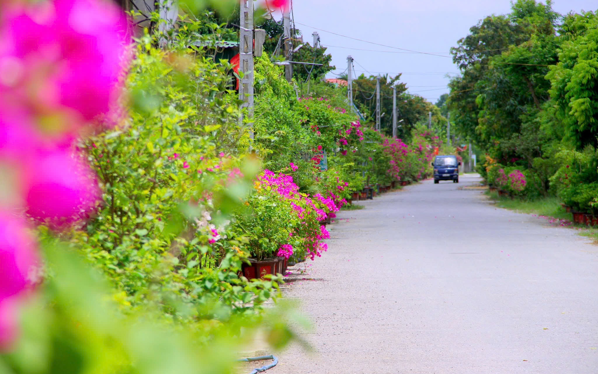 Chuyển mình của nông thôn Nghệ An trong xây dựng nông thôn mới