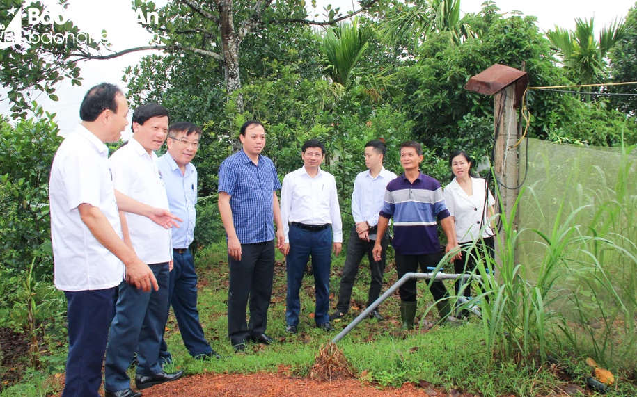 Xem xét, cơ cấu cấp ủy cùng cấp chức danh Trưởng ban HĐND