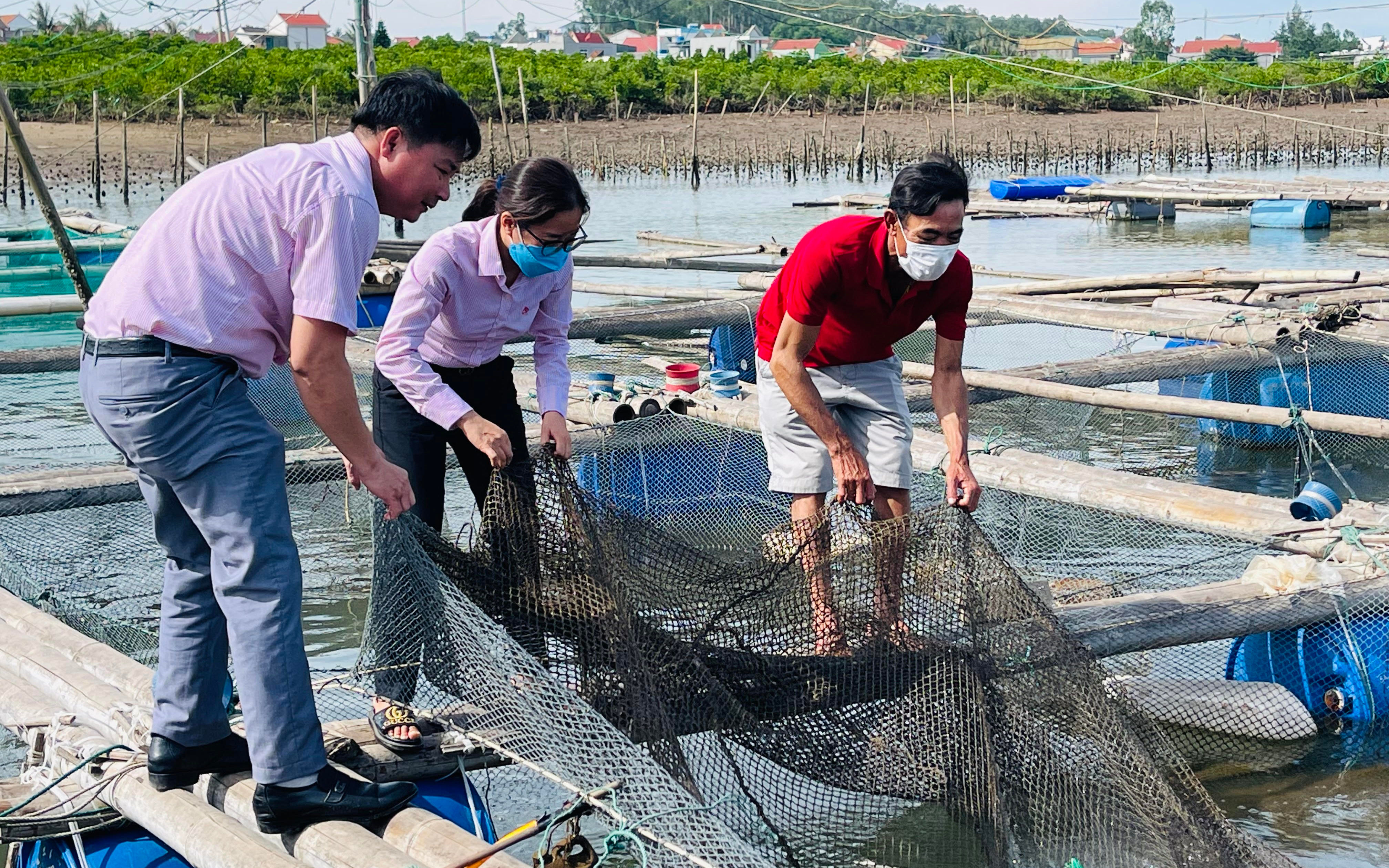 Sở Nông nghiệp và Phát triển nông thôn trả lời cử tri Hoàng Xuân Thụ, Phó Bí thư Thường trực Đảng ủy xã Quỳnh Xuân, thị xã Hoàng Mai về hỗ trợ, tập huấn cho người dân nuôi trồng thủy sản