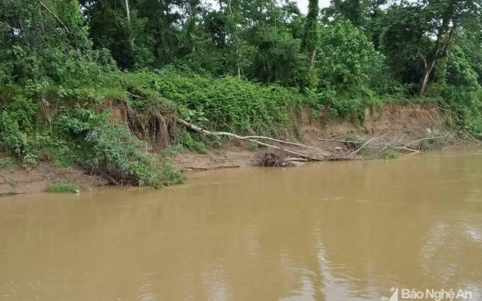 Bộ Nông nghiệp và Phát triển nông thôn trả lời kiến nghị cử tri về kinh phí thực hiện Dự án sửa chữa, nâng cấp đê Lương – Yên - Khai