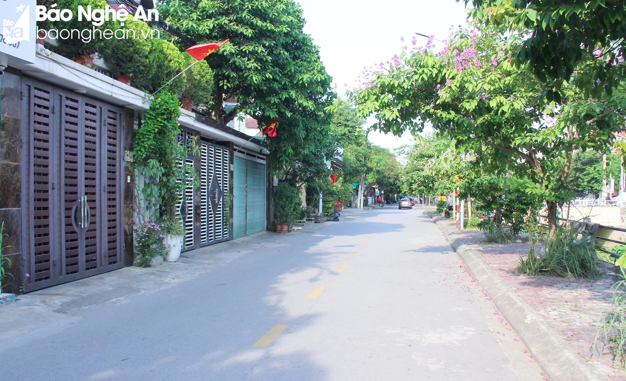 bna-y-thuc-cua-nguoi-dan-thanh-pho-vinh-trong-tao-mang-xanh-trong-cac-khu-dan-cu-anh-mai-hoa-1-2345.jpg.webp