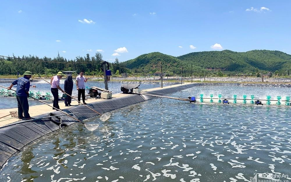 Đảm bảo an toàn thực phẩm nông lâm thủy sản