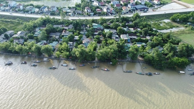 Cụm dân cư Hòa Lam ở xóm Thuận Hòa nằm ngoài đê sông Lam, thường xuyên gánh chịu thiệt hại nặng nề bởi thiên tai. Ảnh: Việt Khánh.