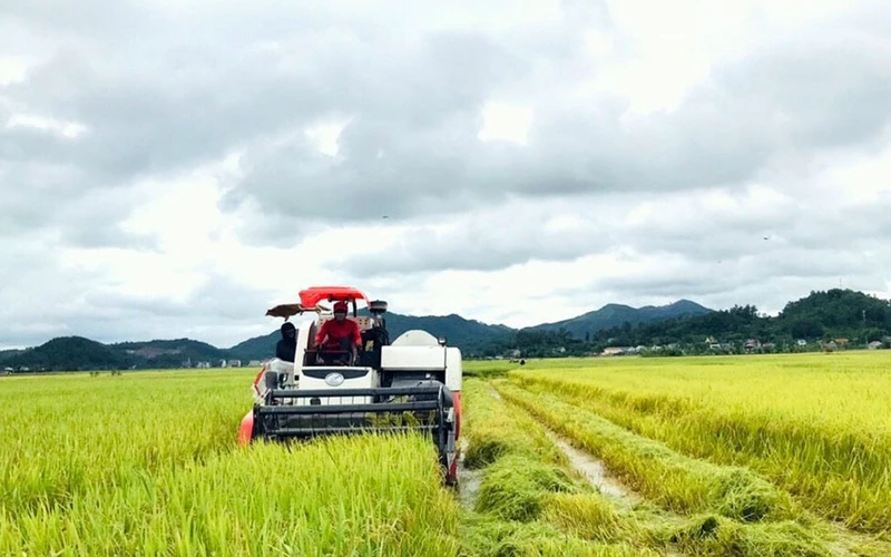 Sở Tài nguyên và Môi trường trả lời cử tri xã Tân Long, huyện Tân Kỳ về vướng mắc giữa Công ty Cổ phần nông nghiệp Sông Con và người dân