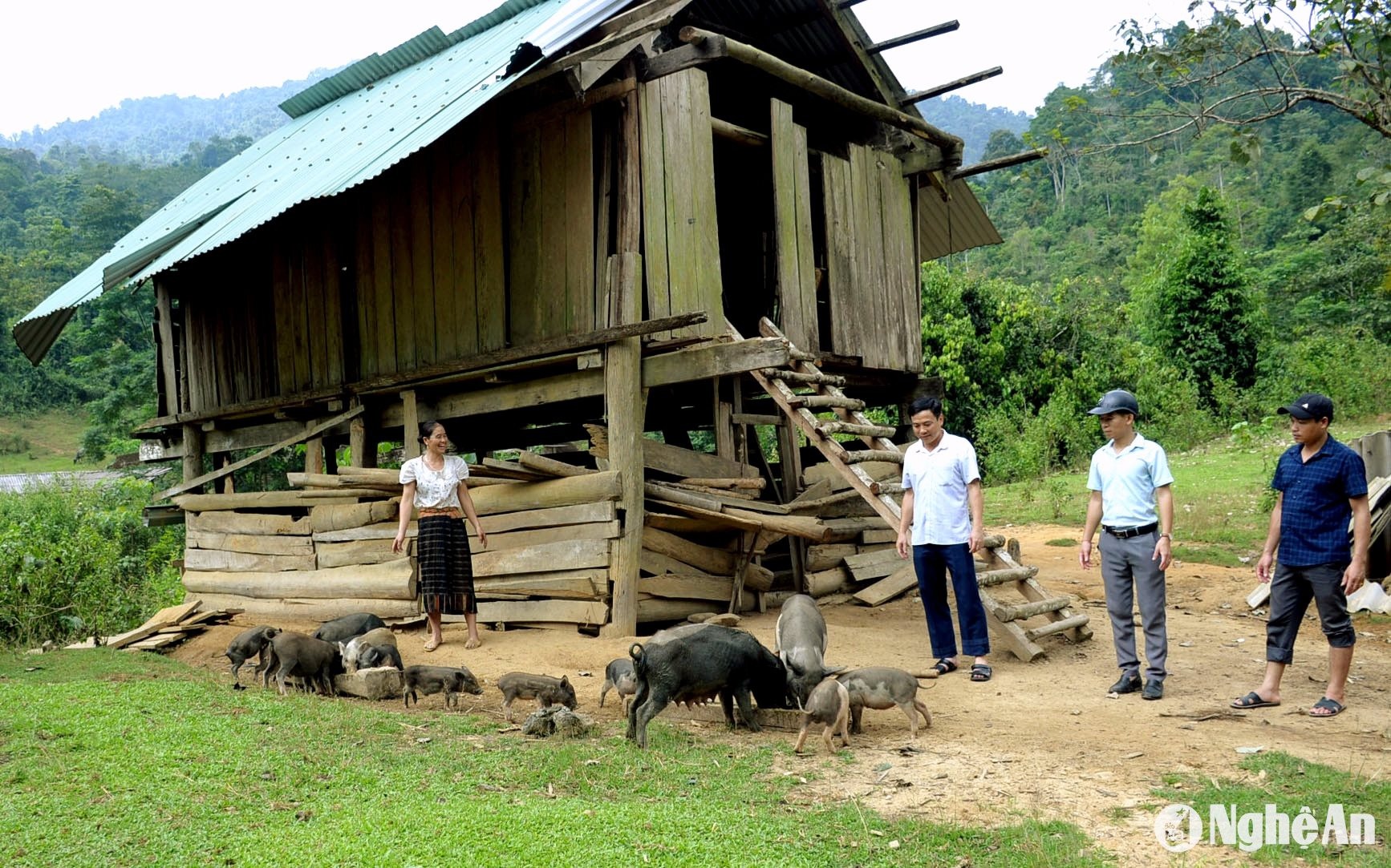 bna_chi-ngan-thi-tam-cham-soc-dan-lon-den-ban-dia-tai-khu-vuc-thung-lung-huoi-khang.-anh-xuan-hoang.jpg