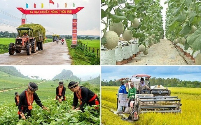 Cần khắc phục tình trạng đầu tư dàn trải