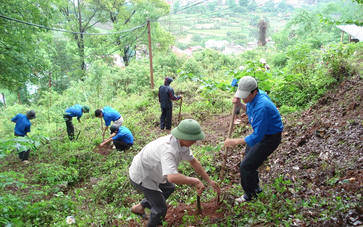 UBND tỉnh trả lời kiến nghị của cử tri huyện Tương Dương về chuyển mục đích sử dụng đất rừng phòng hộ sang đất ở