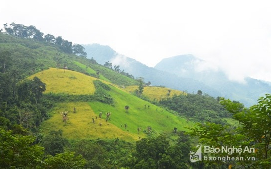 Quan tâm giải quyết dứt điểm tranh chấp địa giới hành chính giữa xã Mường Lống, huyện Kỳ Sơn và xã Nhôn Mai, huyện Tương Dương