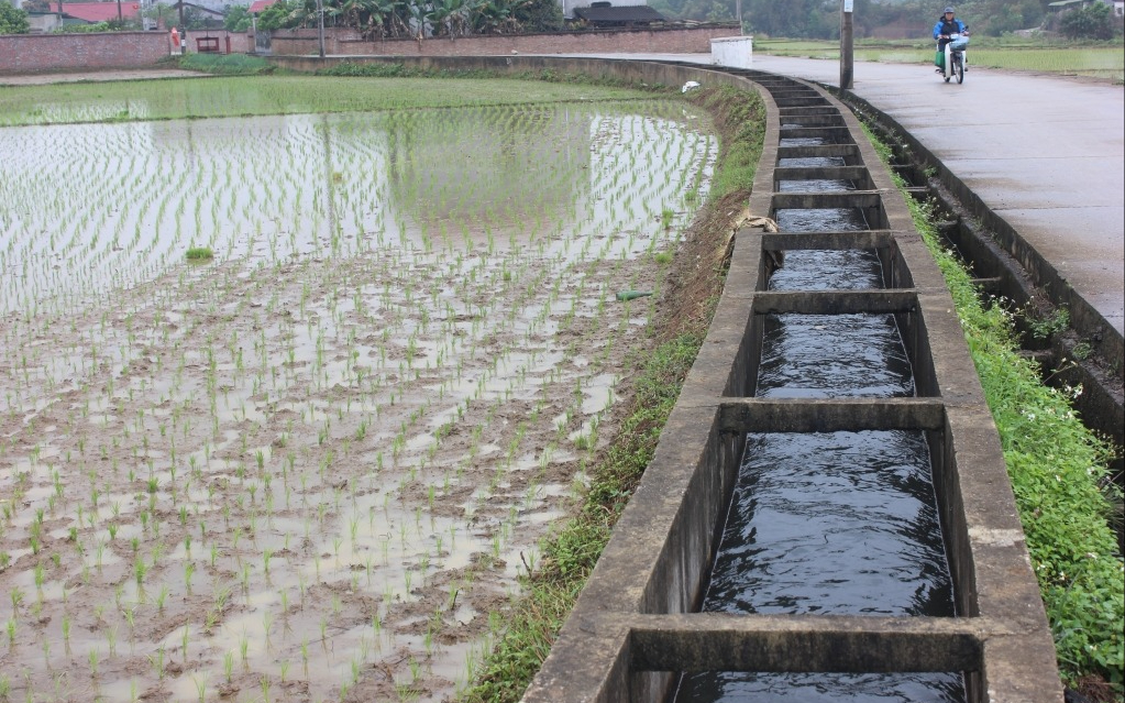 Cử tri xã Nam Thanh kiến nghị tăng hỗ trợ sản xuất nông nghiệp và đầu tư công trình thủy lợi